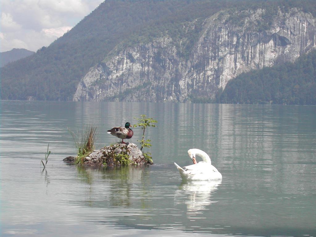 Landhaus Leitner Am Wolfgangsee Sankt Gilgen Kültér fotó