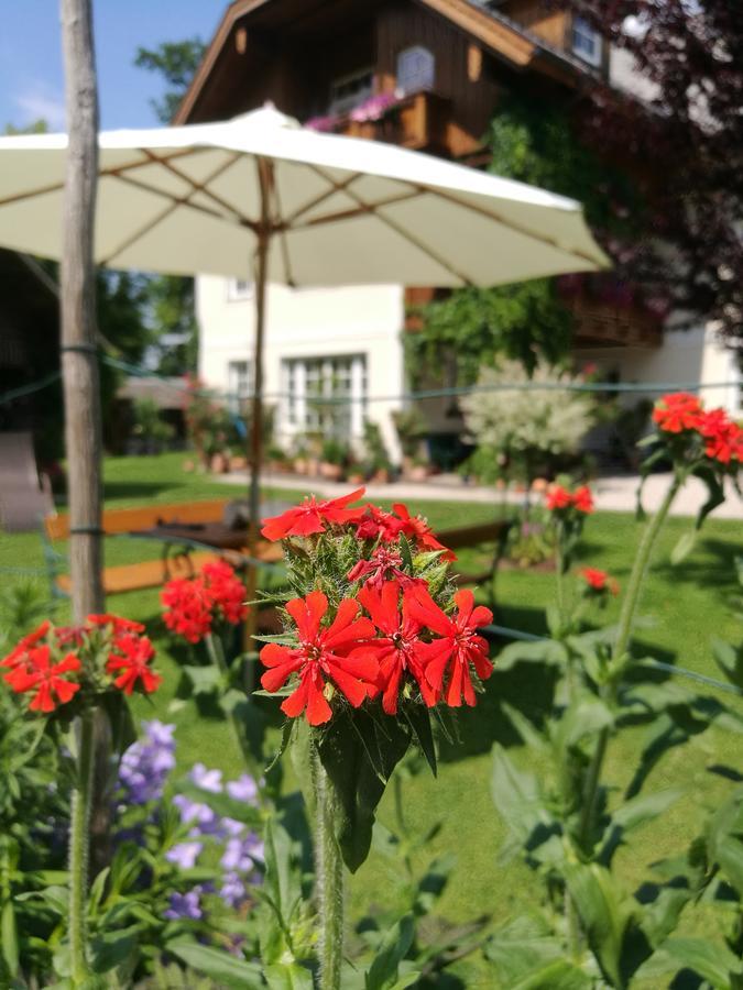 Landhaus Leitner Am Wolfgangsee Sankt Gilgen Kültér fotó